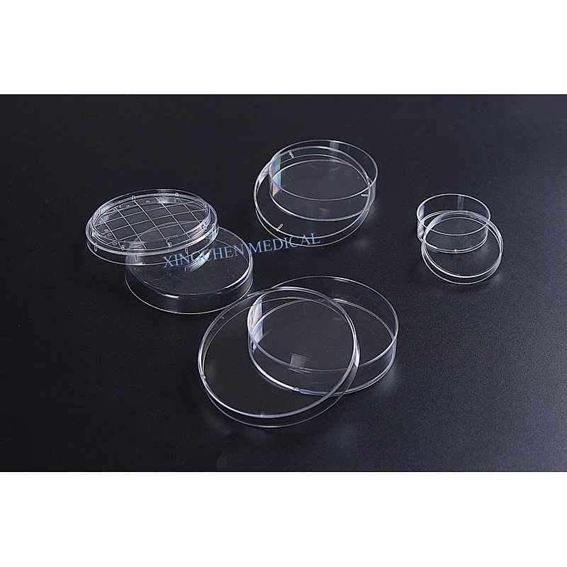 XC1322  Petri Dish