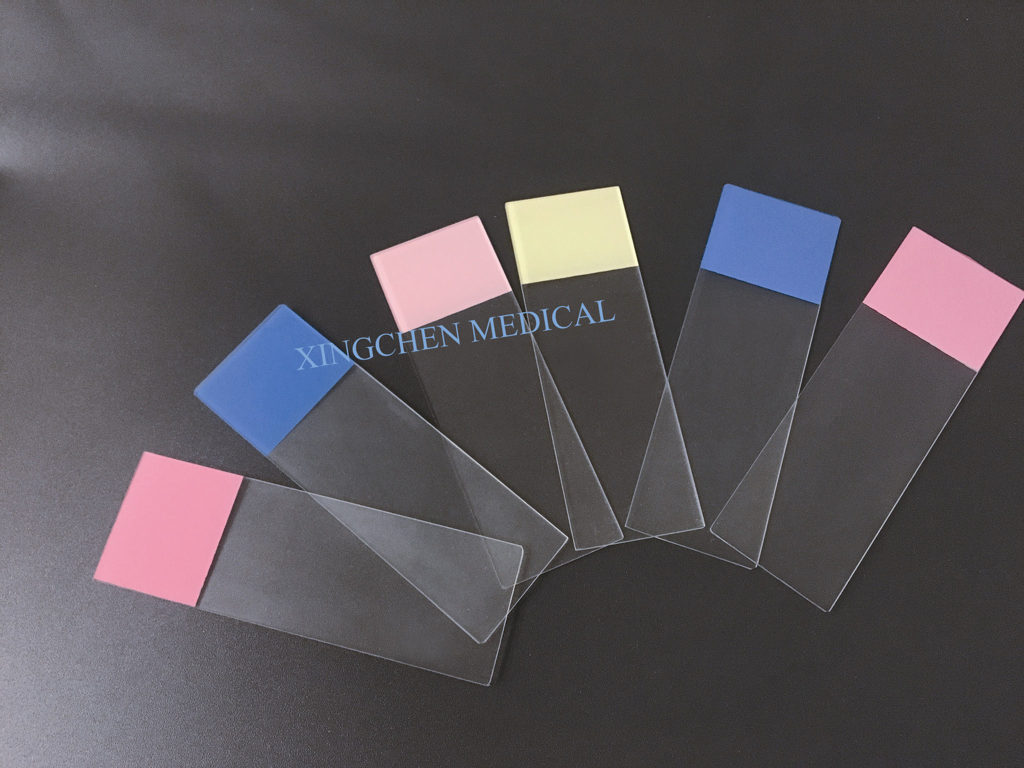 XC1205  Color Frosted Microscope Slides