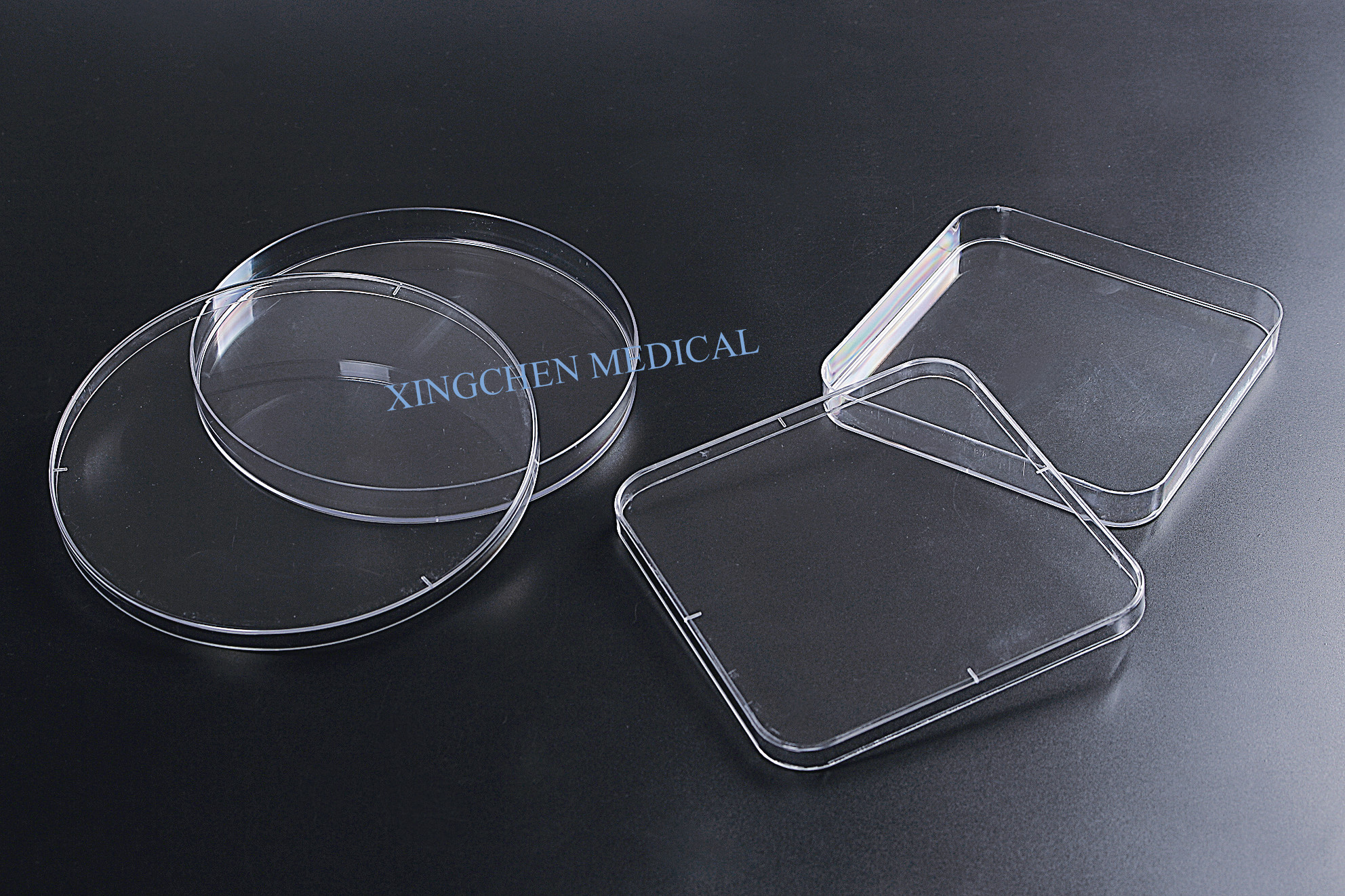 XC1322  Petri Dish