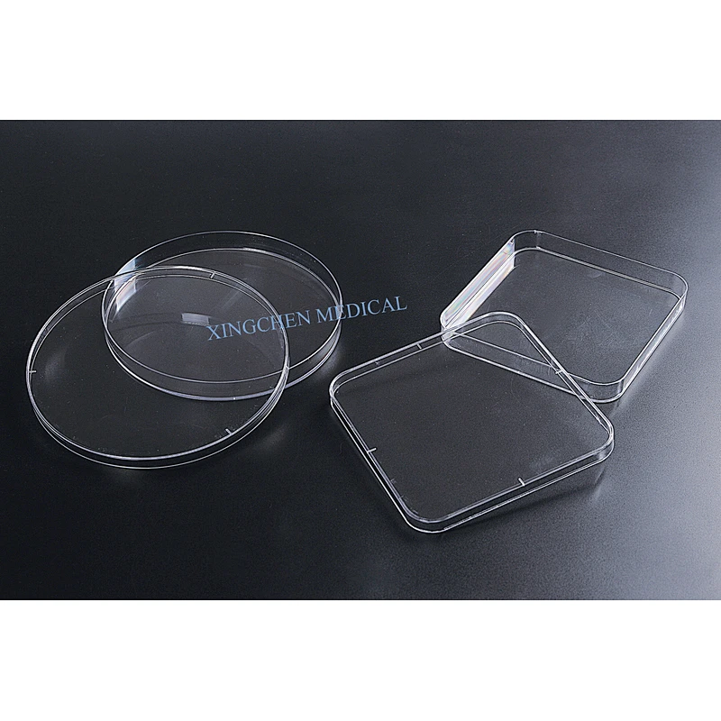 XC1322  Petri Dish