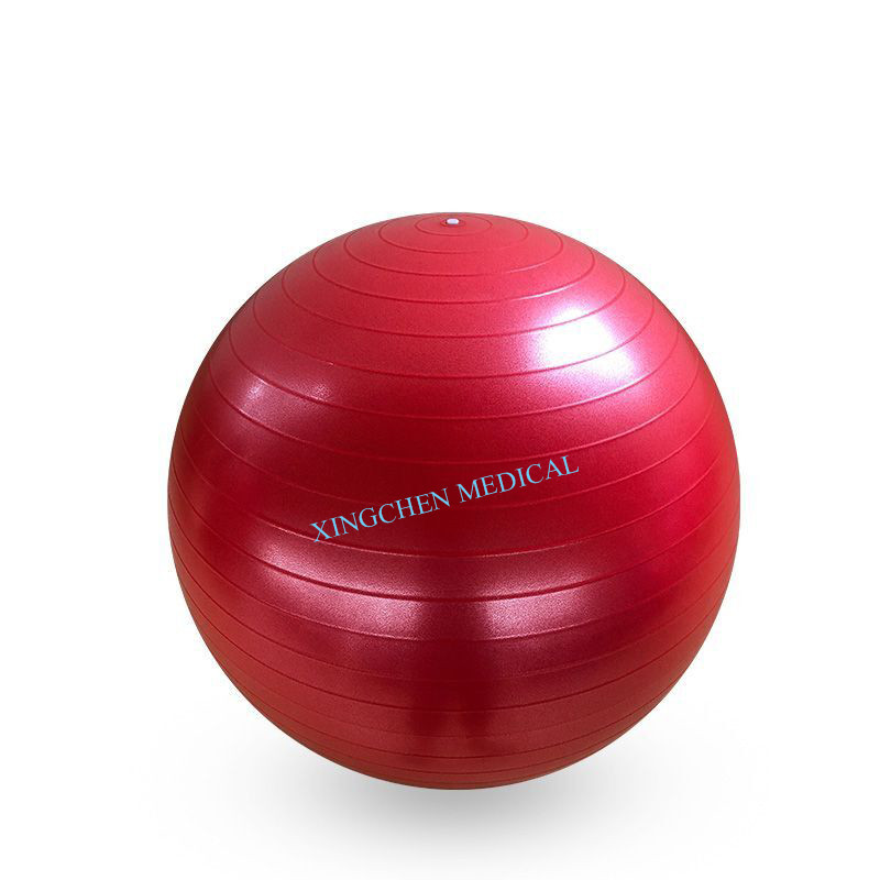 XC1001 Gym Ball