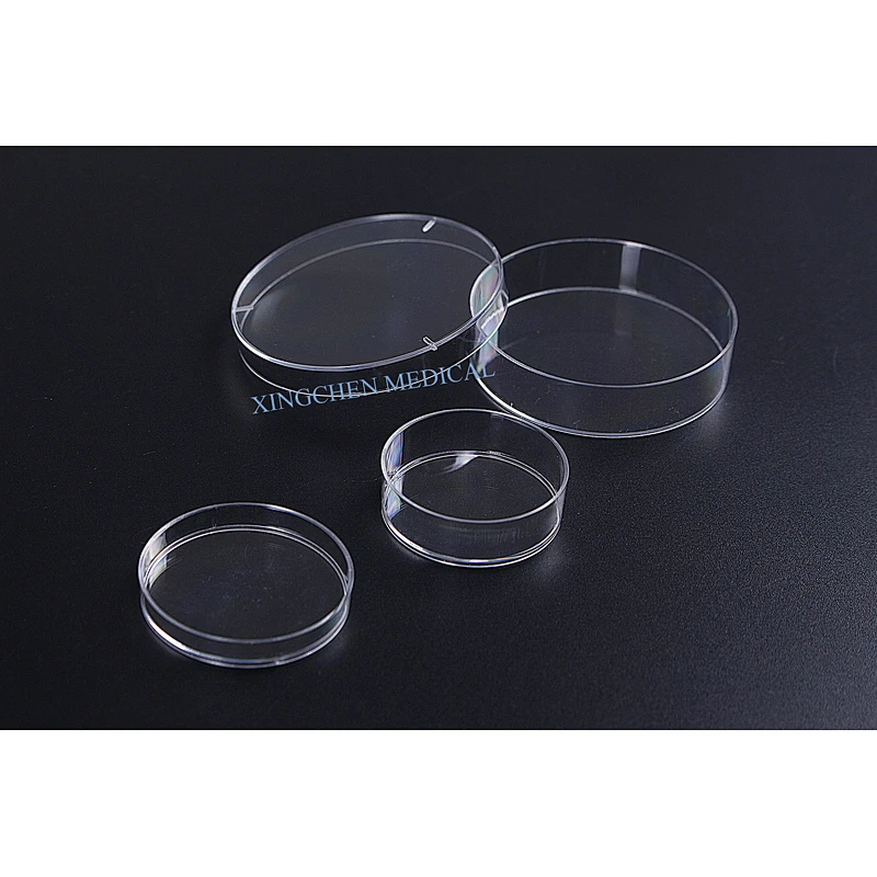 XC1322  Petri Dish