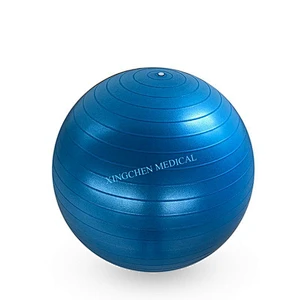 XC1001 Gym Ball
