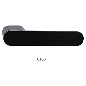 C100 BK
