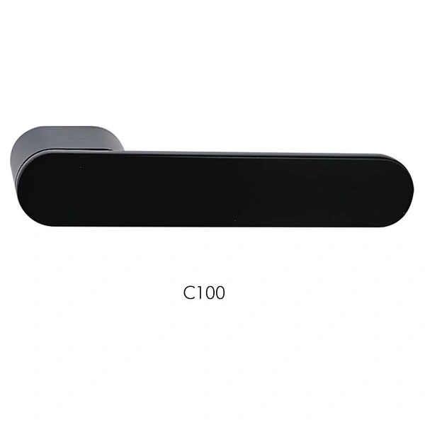 C100 BK