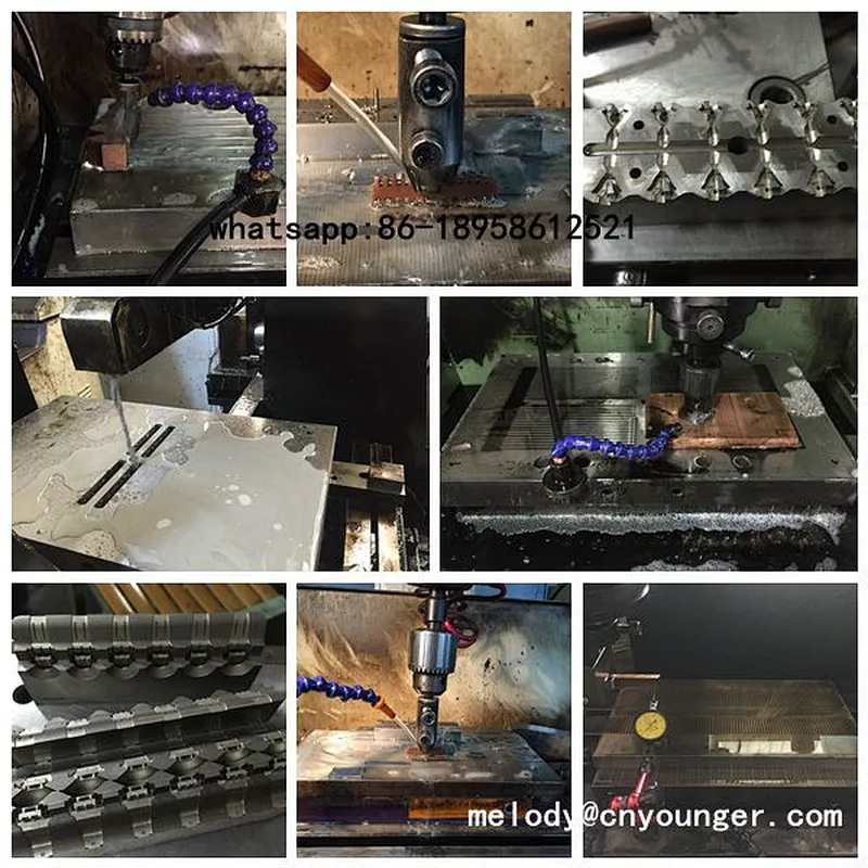 Cable Ties Injection Mould / Cable Tie Injection Mould
