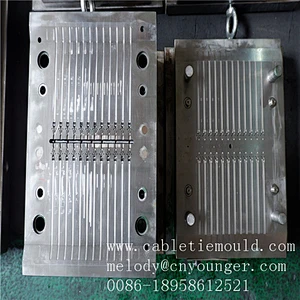 Zhejiang Taizhou Huangyan Cable Tie injection mold manufacture