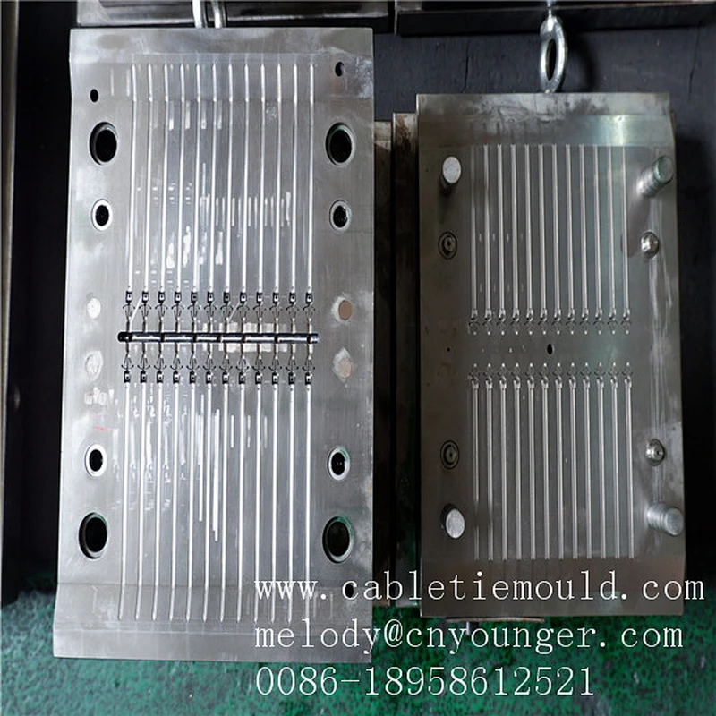 Zhejiang Taizhou Huangyan Cable Tie injection mold manufacture