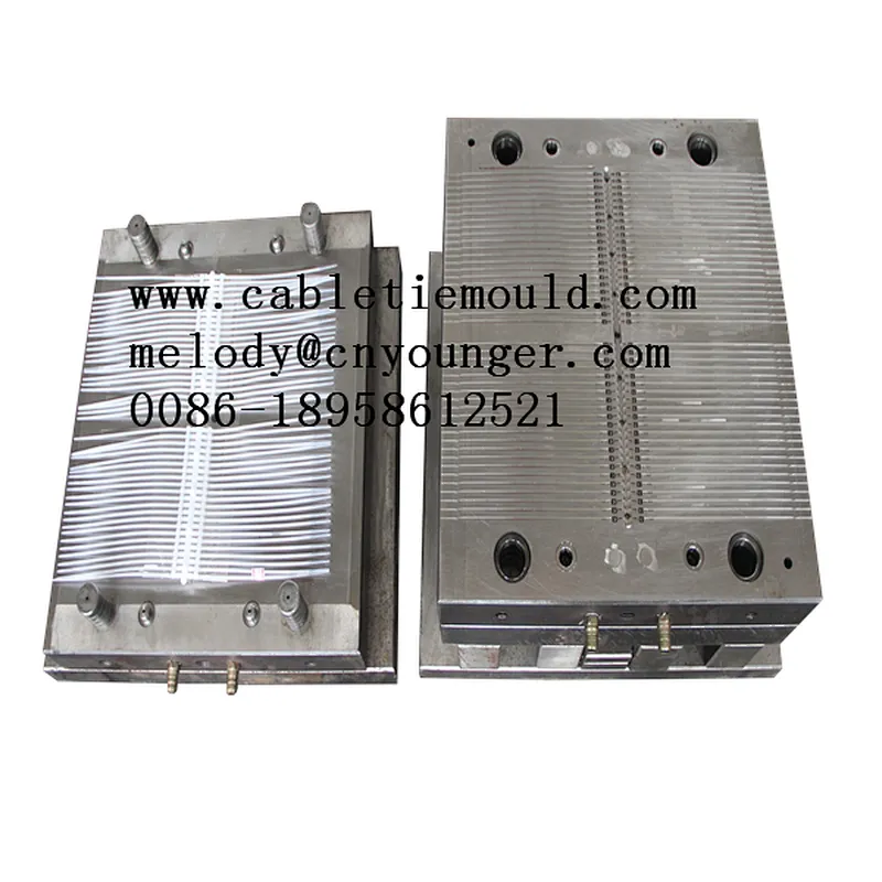 nylon cable ties injection mould manufactory in mould city taizhou