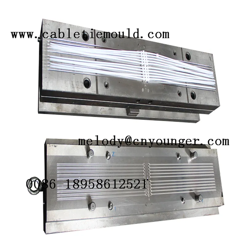 locking nylon cable tie mold .quality head mould cable ties