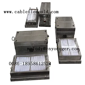 nylon cable ties injection mould manufactory in mould city taizhou