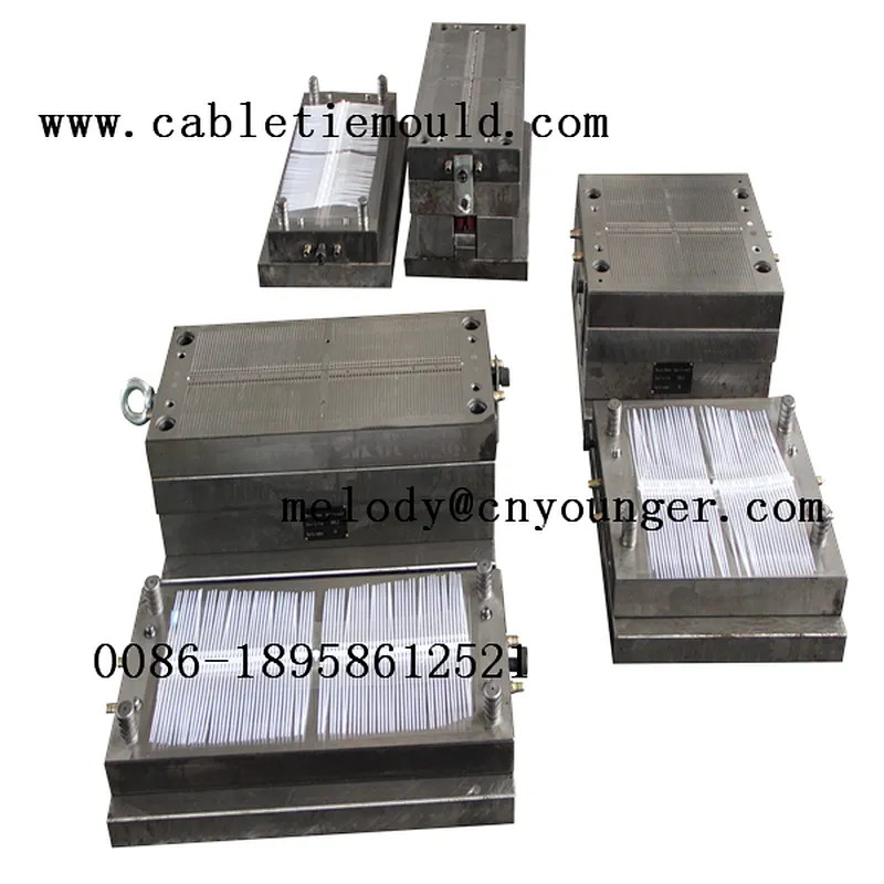 nylon cable ties injection mould manufactory in mould city taizhou