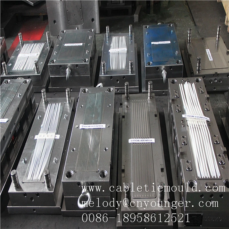 nylon cable ties injection mould manufactory in mould city taizhou