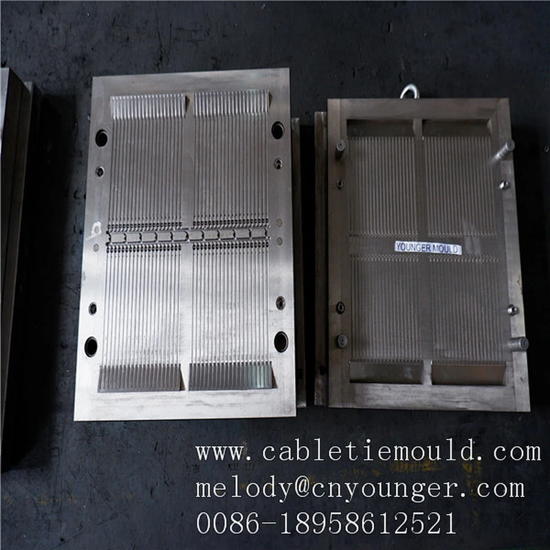 Zhejiang Taizhou Huangyan Cable Tie injection mold manufacture