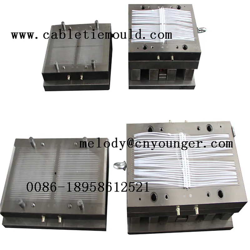 nylon cable ties injection mould manufactory in mould city taizhou
