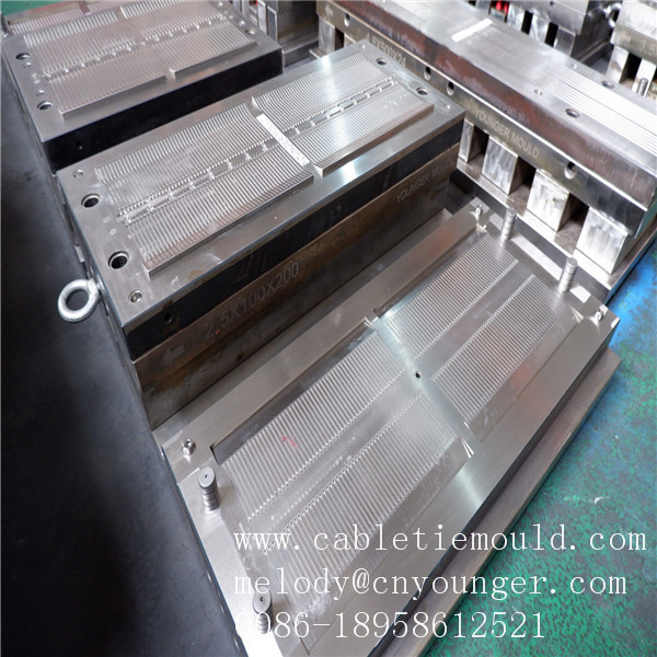 locking nylon cable tie mould .HOT SELL High quality marker nylon 66 cable tie injection mould