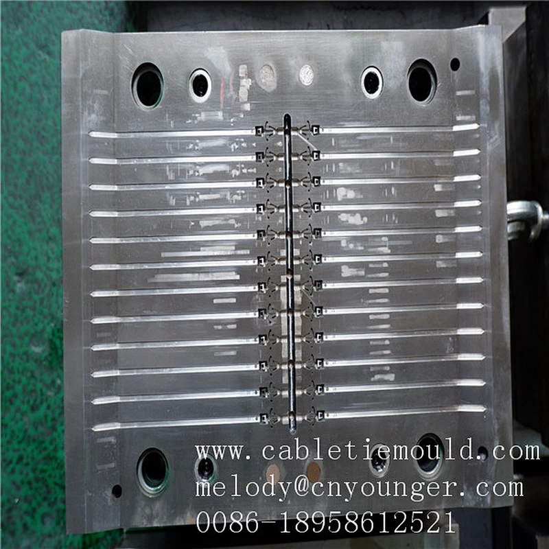 Zhejiang Taizhou Huangyan Cable Tie injection mold manufacture