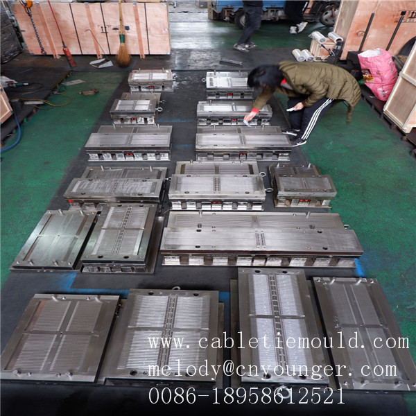 chinese cable tie injection moulding cable tie base