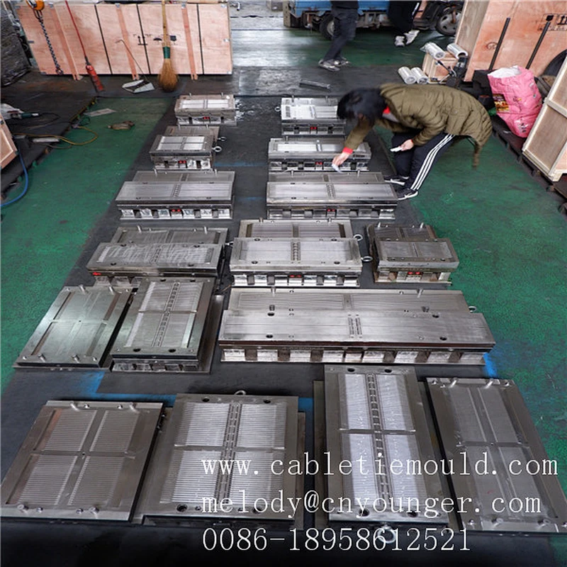 chinese cable tie injection moulding cable tie base
