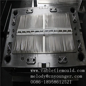 automobile auto positioning screw type plastic nylon cable zip ties injection mould in molds city taizhou china