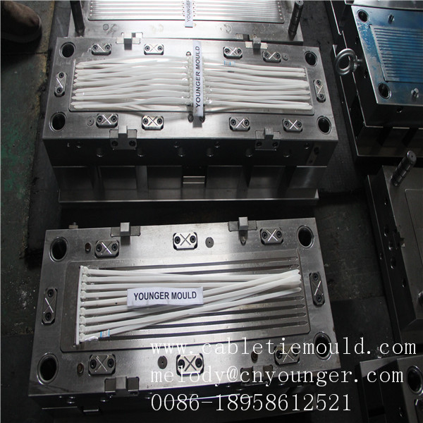 mould manufactory sell auto car automotive tyre screw head nylon cable tie plastic injection moulds in molds city aizhou china