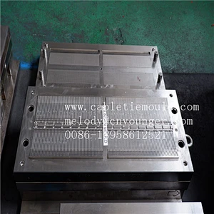 Zhejiang Taizhou Huangyan Cable Tie injection mold manufacture