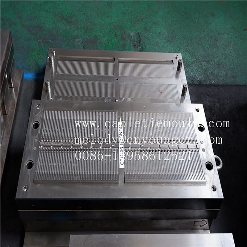 Zhejiang Taizhou Huangyan Cable Tie injection mold manufacture