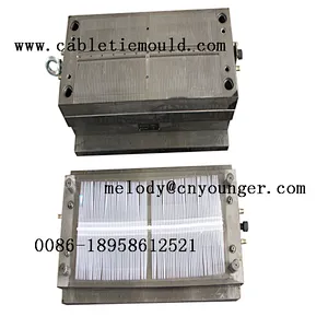 automobile auto positioning screw type plastic nylon cable zip ties injection mould in molds city taizhou china