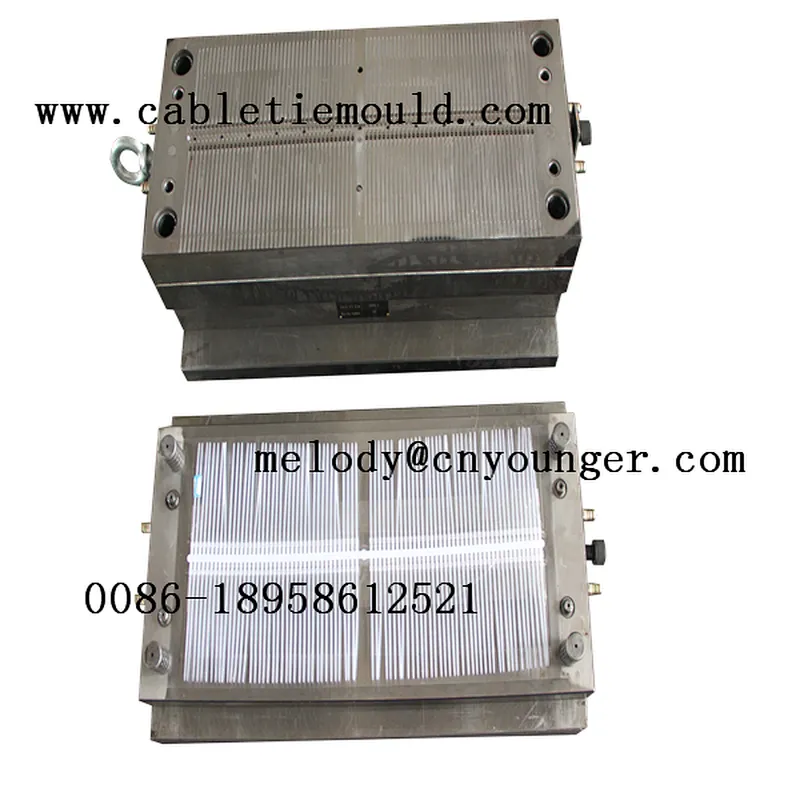 automobile auto positioning screw type plastic nylon cable zip ties injection mould in molds city taizhou china