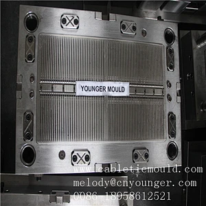 automobile auto positioning screw type plastic nylon cable zip ties injection mould in molds city taizhou china