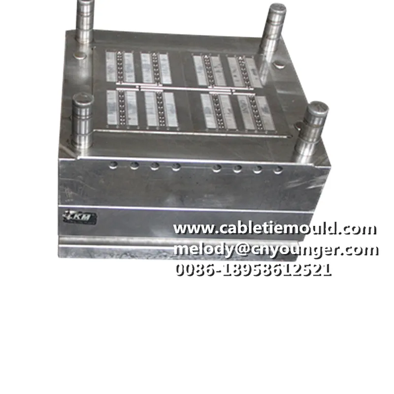 Plastic Tag Pin injection Mould