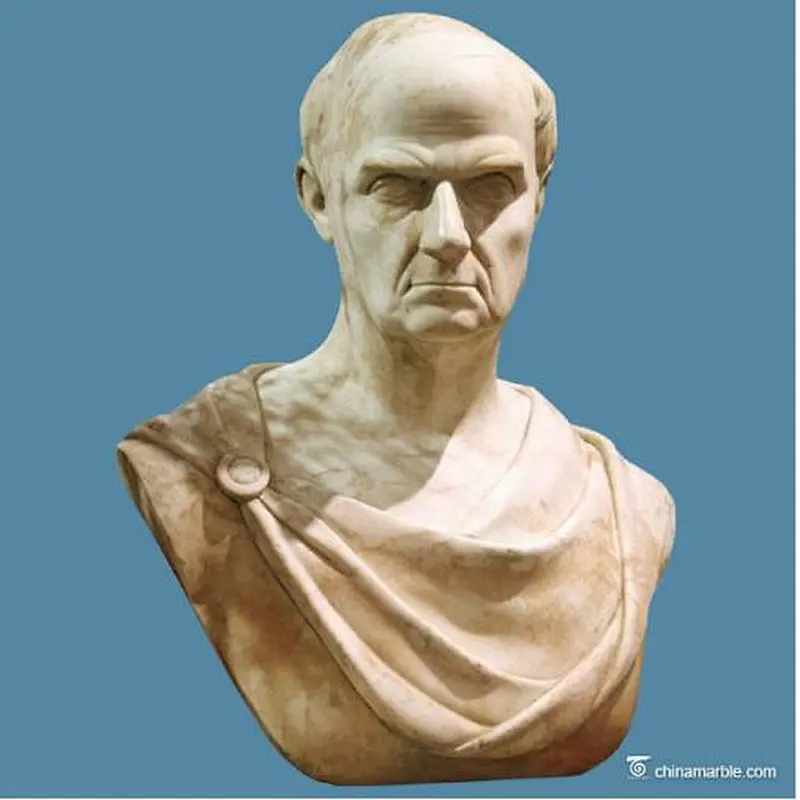 marble bust statue/stone bust statue/bust statue/stone bust sculpture
