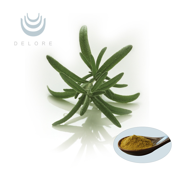 Rosemary Extract - Carnosic Acid Powder