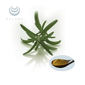 Rosemary Extract - Carnosic Acid Powder