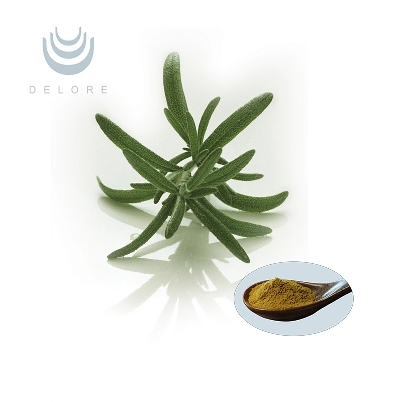 Rosemary Extract - Carnosic Acid Powder