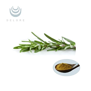 Rosemary Extract