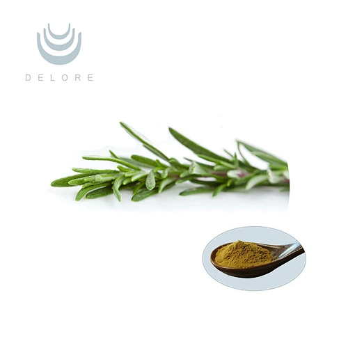 Rosemary Extract