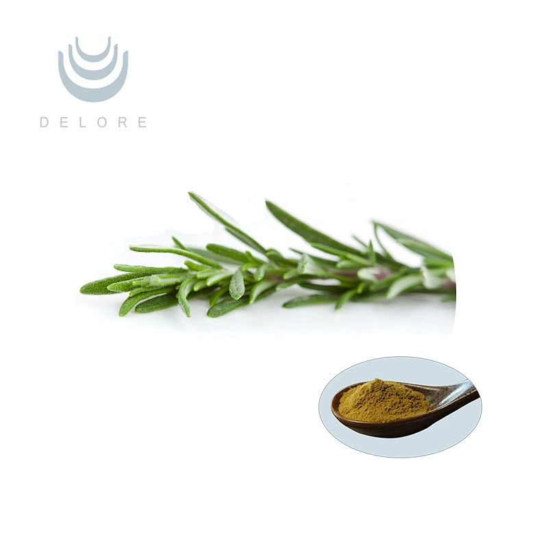 Rosemary Extract