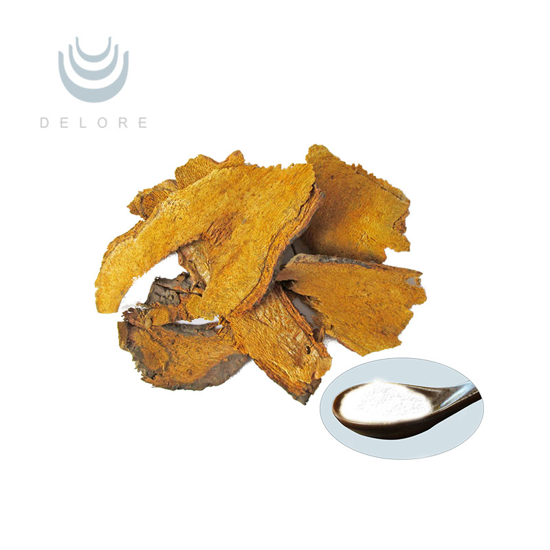 Polygonum Cuspidatum Extract Resveratrol