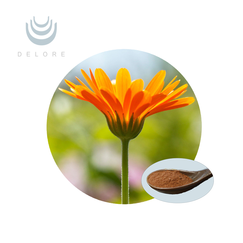 Marigold Extract - Lutein