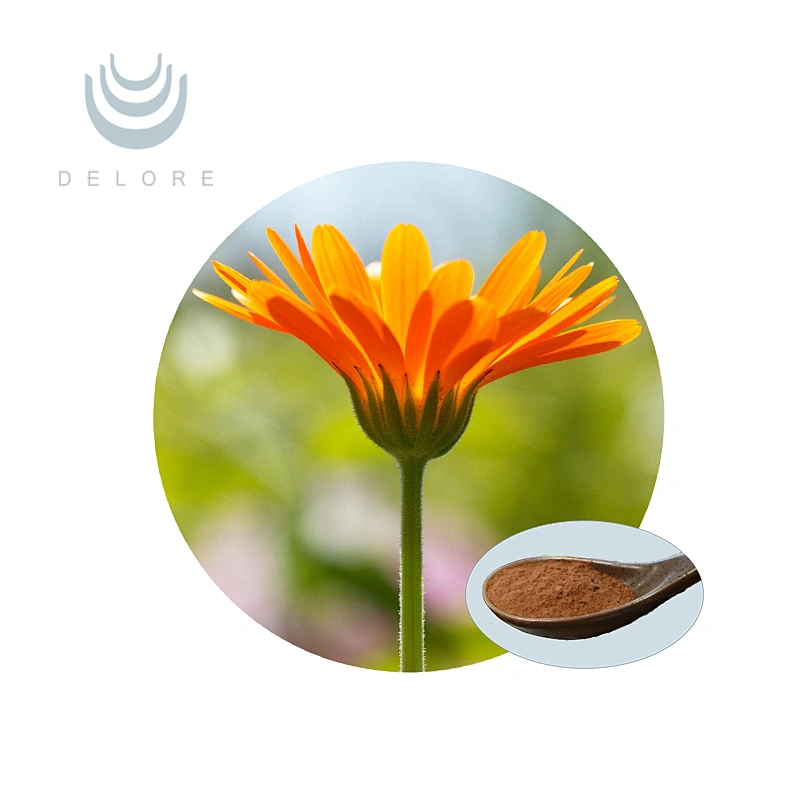 Marigold Extract - Lutein