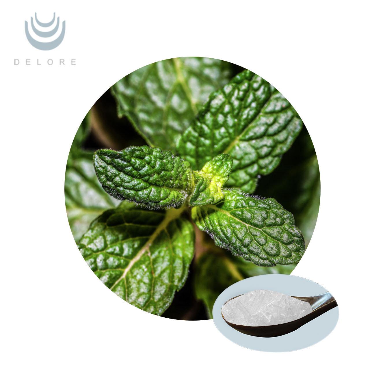 Menthol Crystal - L-Menthol 99%