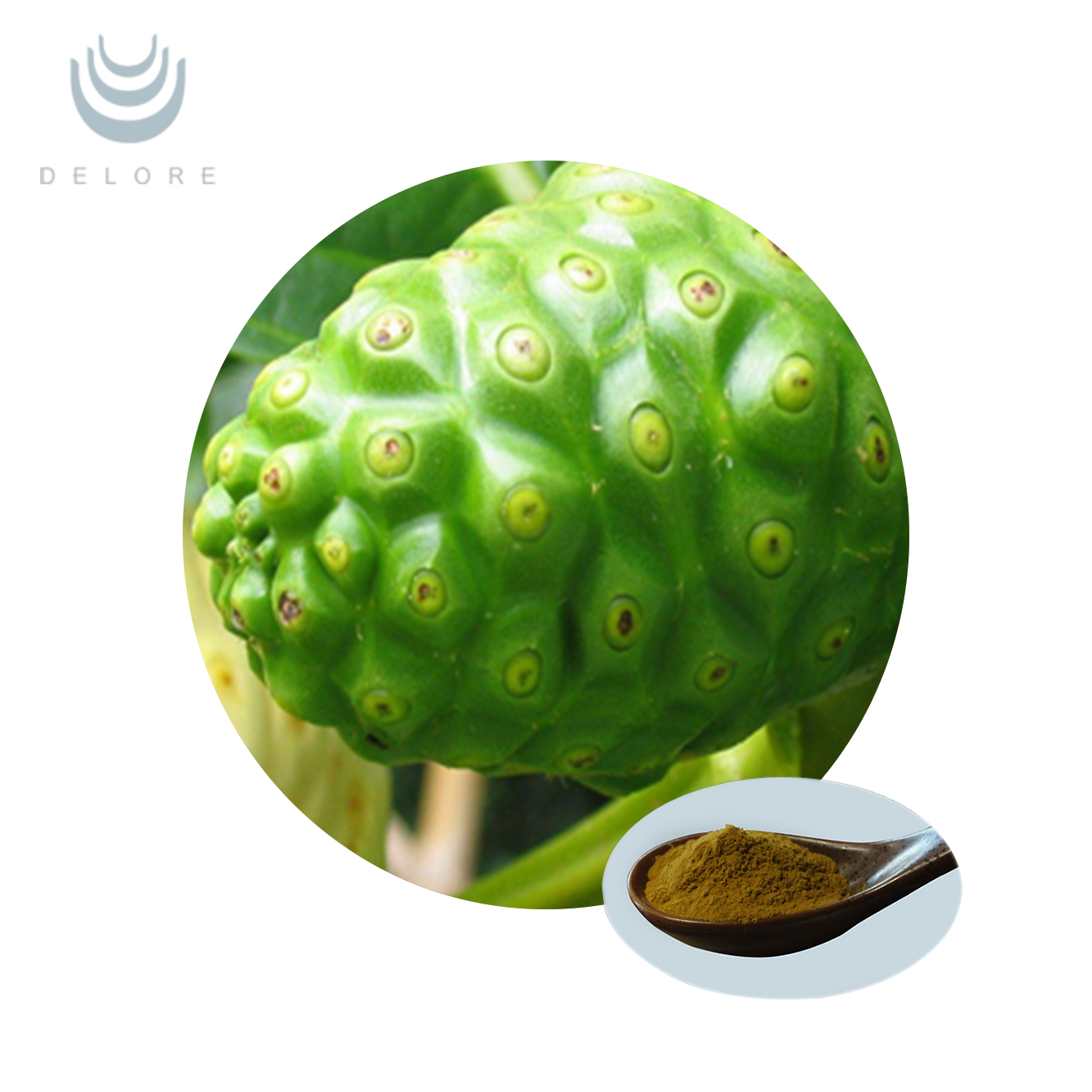 Noni fruit powder