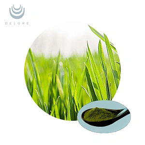 Barley Grass Juice Powder