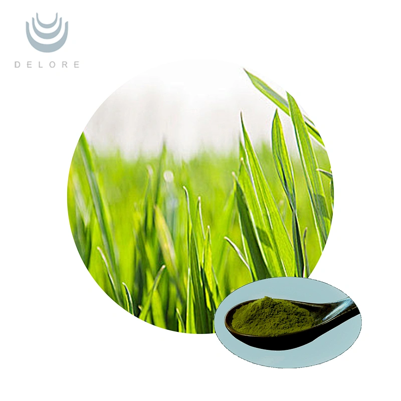Barley Grass Juice Powder