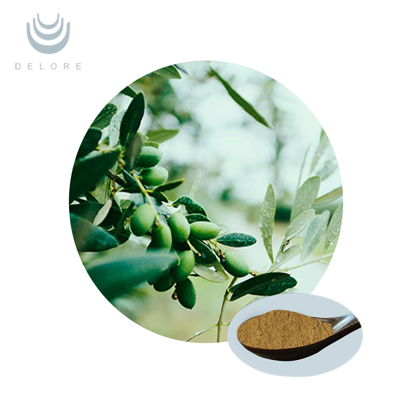 Olive Leaf Extract