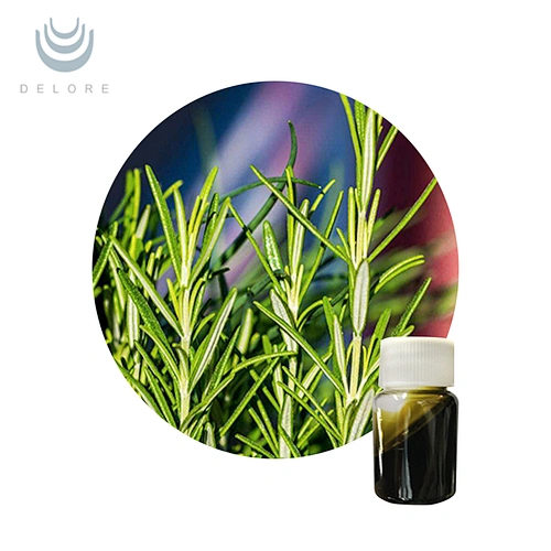 Rosemary Essential Oil