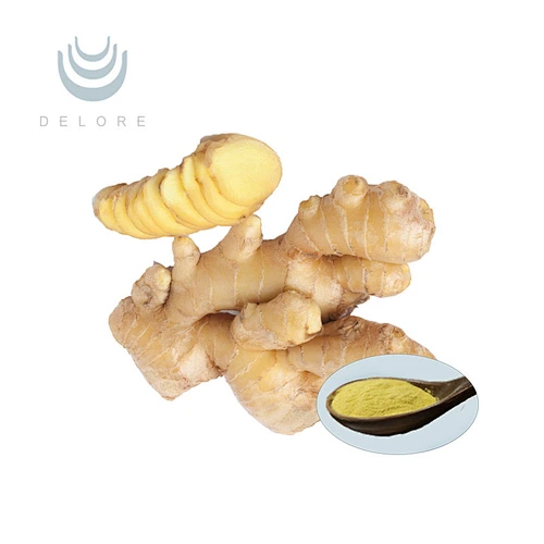 Ginger Root Extracts - Gingerols