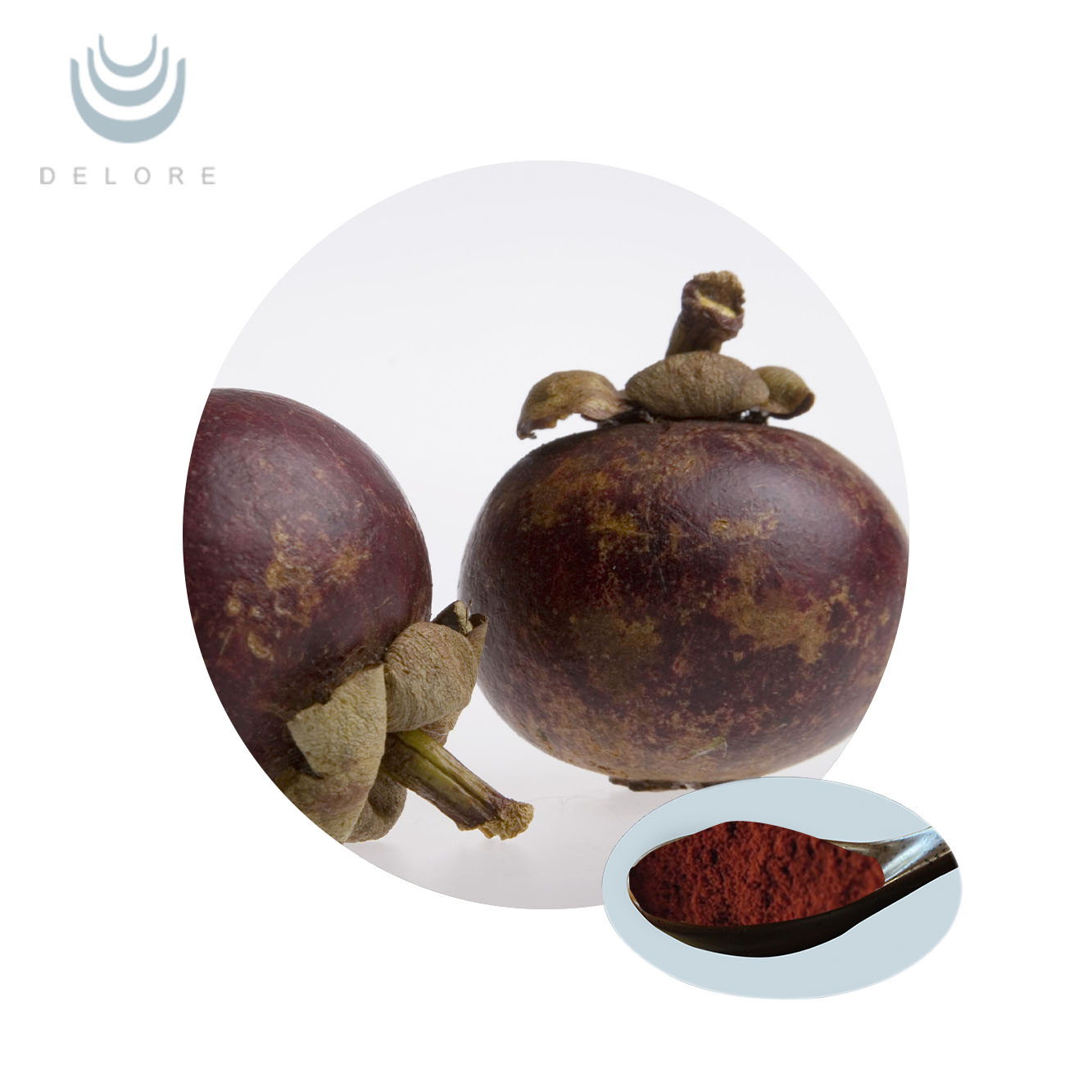Mangosteen extract