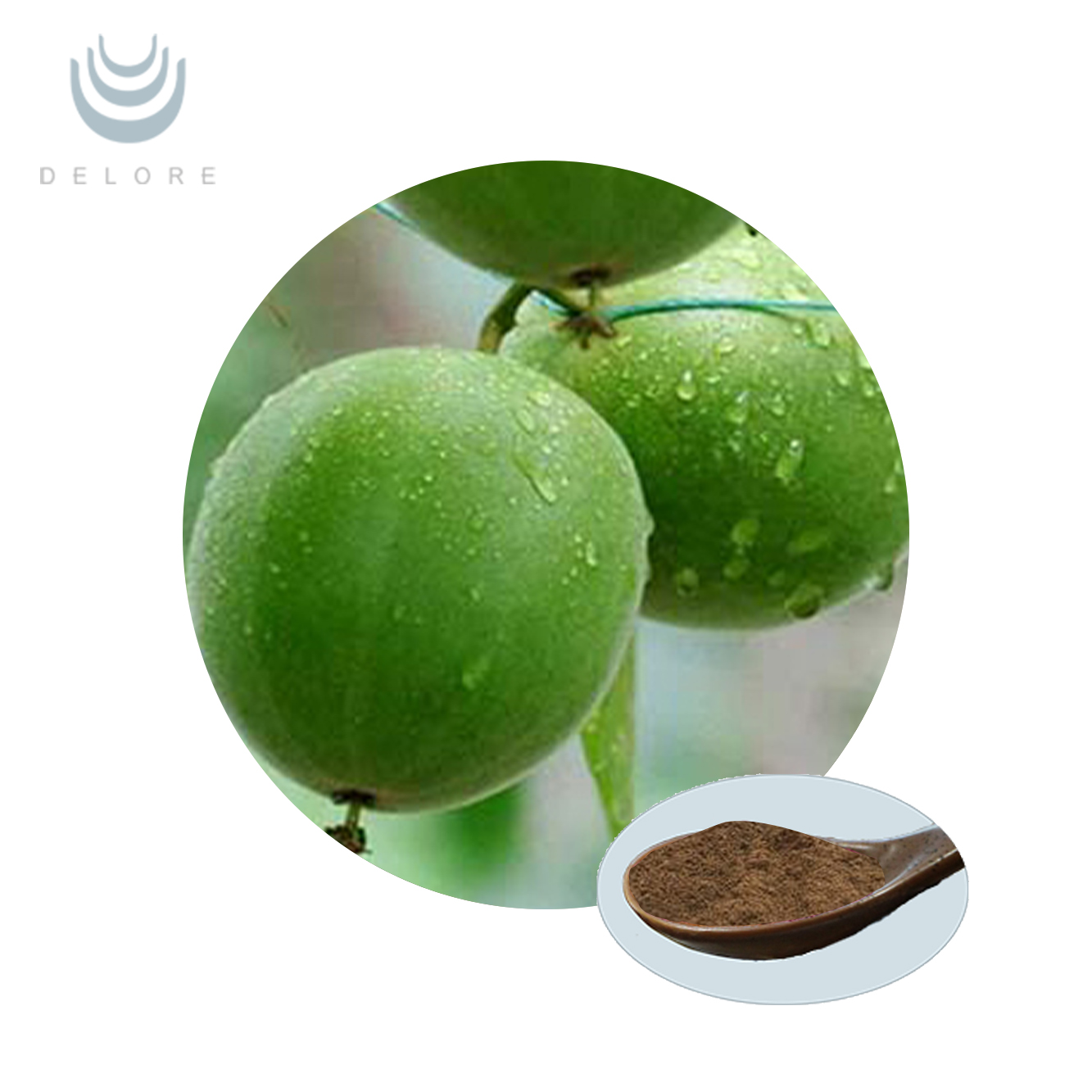 Monk Fruit Extract